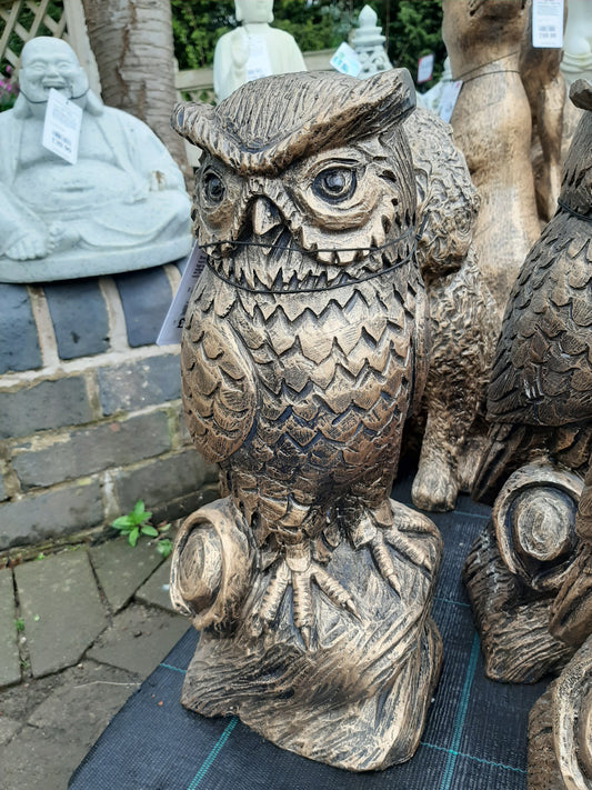 Owl Bronze