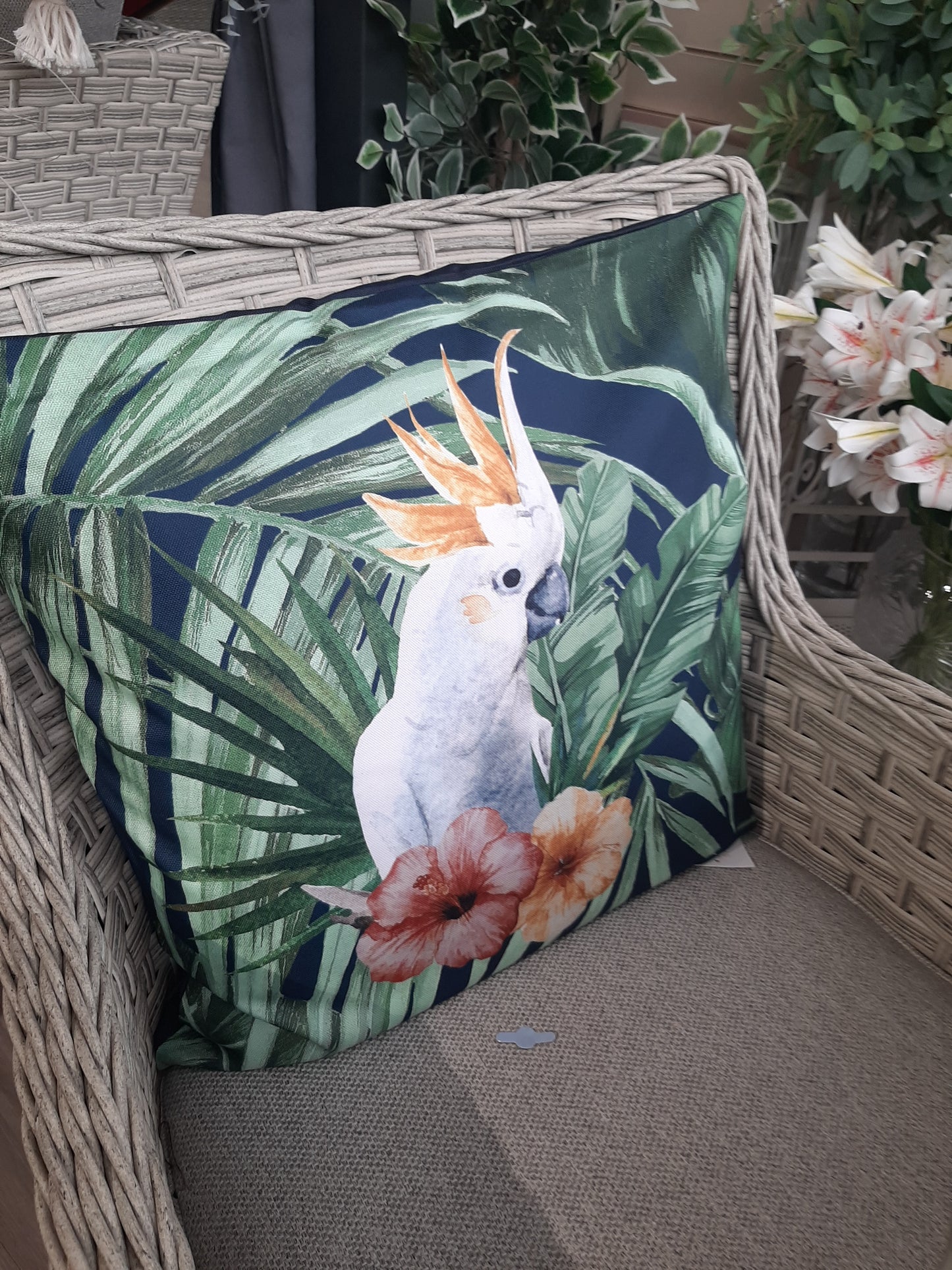 Outdoor Cushion