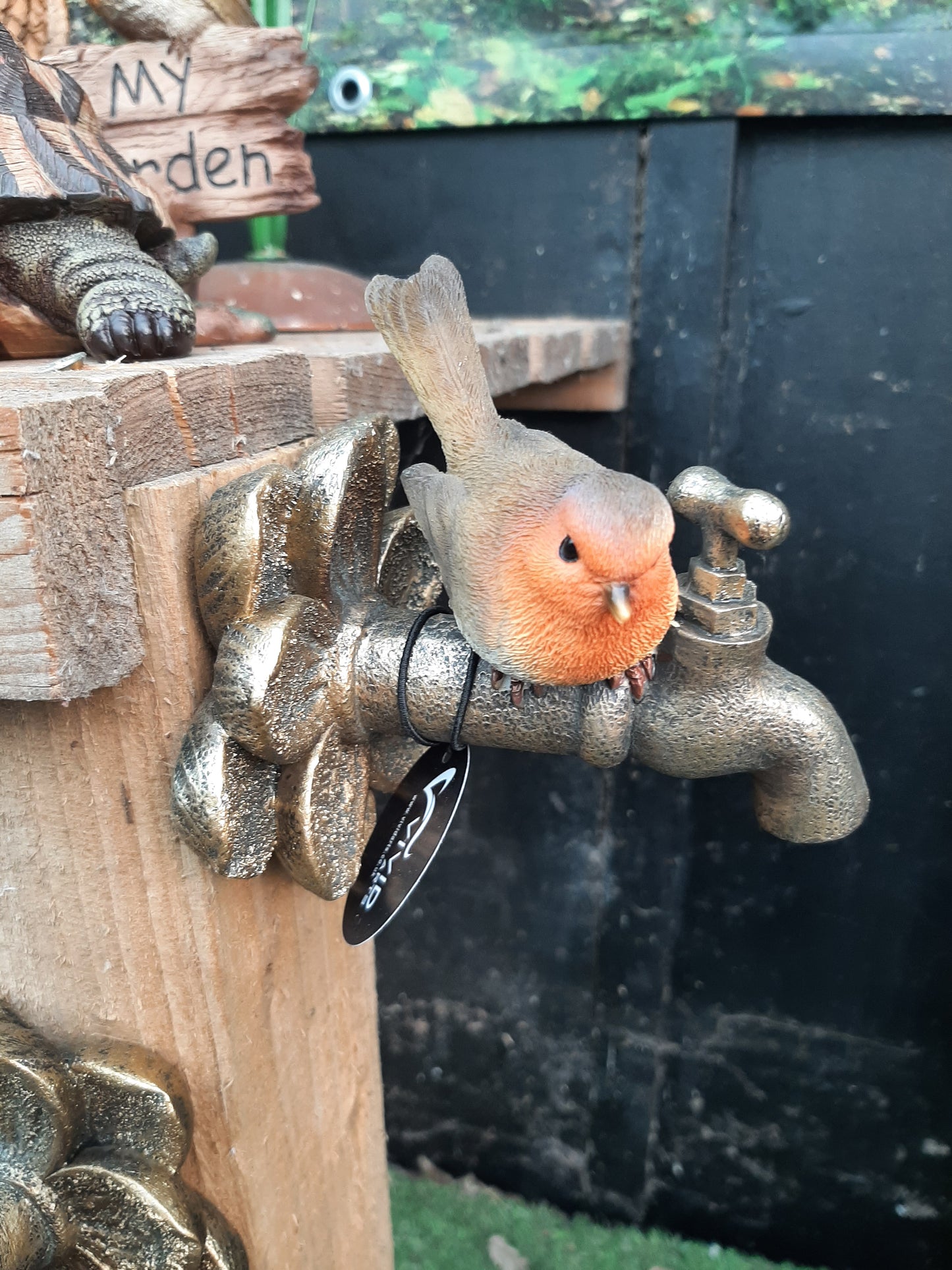 Robin on Garden Tap