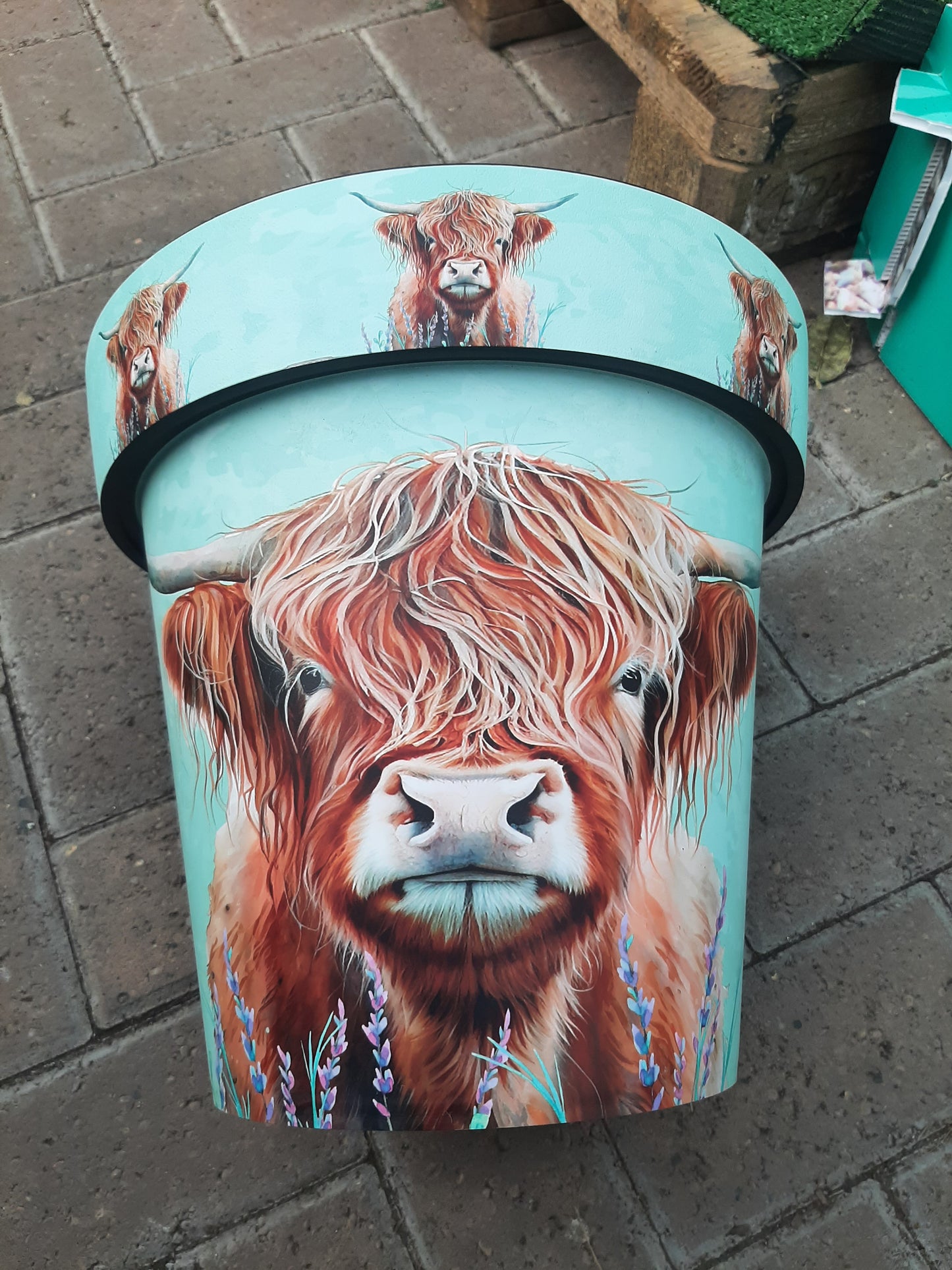 Highland Cow Pot