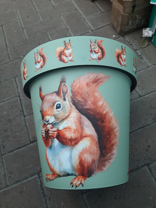 Squirrel Pot