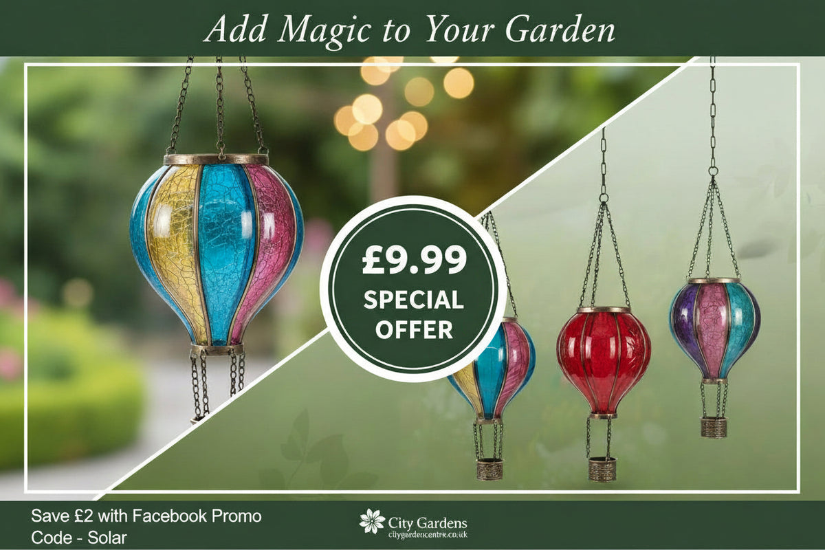 Multi Colour Solar Ballon